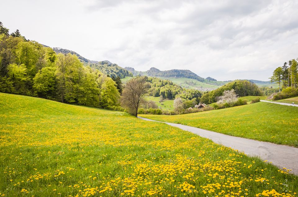 Steuer­erklärung Basel Land